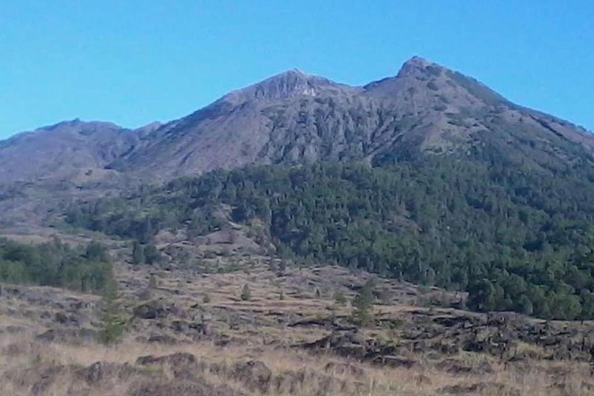 una montagna con alberi sul fianco