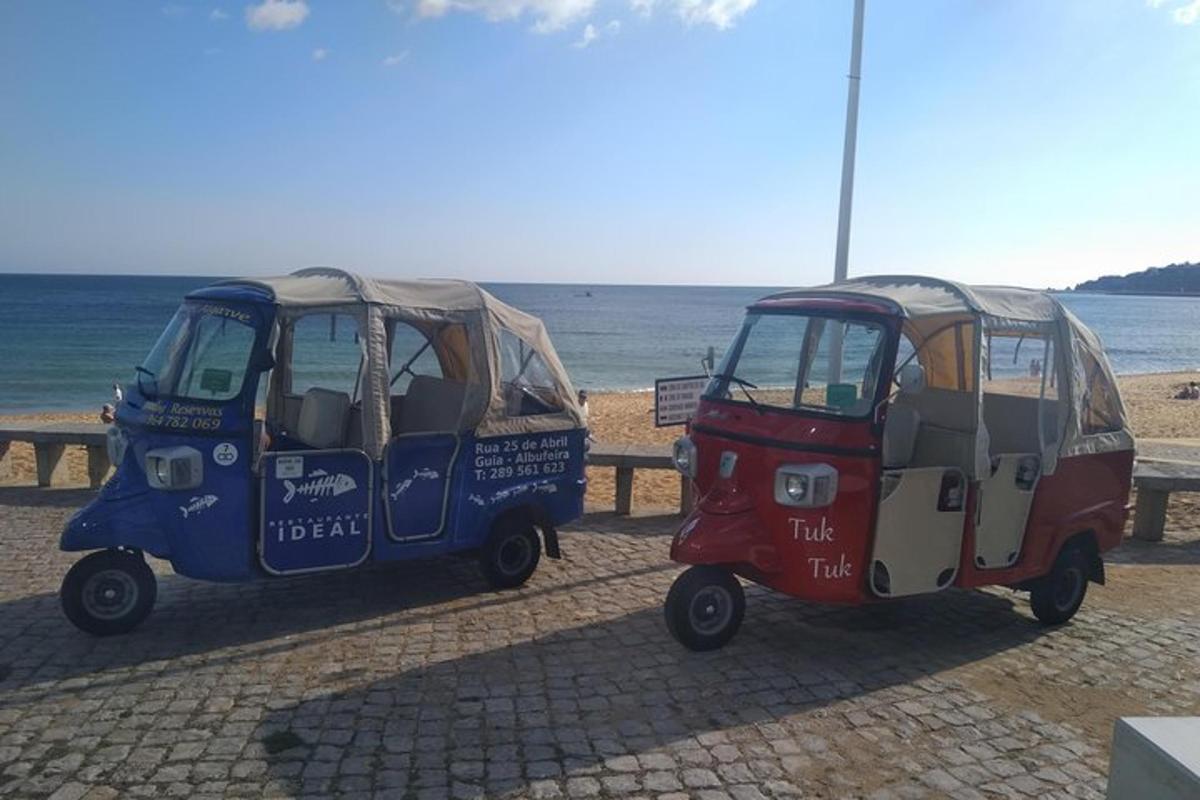 two small vehicles parked next to the beach