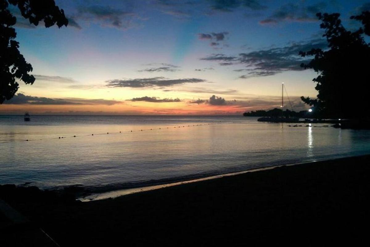 a sunset over a body of water with birds