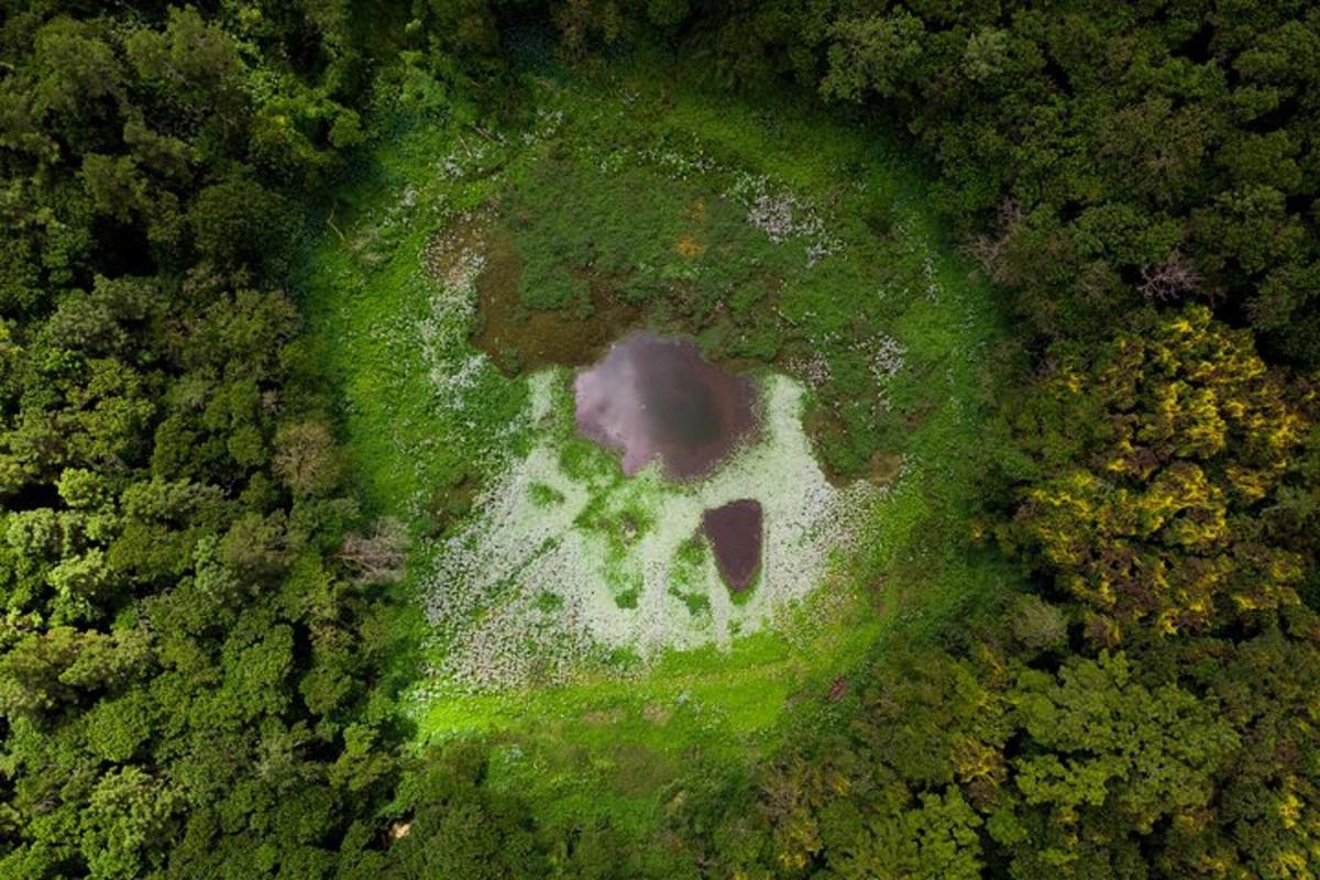 an aerial view of a field with a pond in the grass