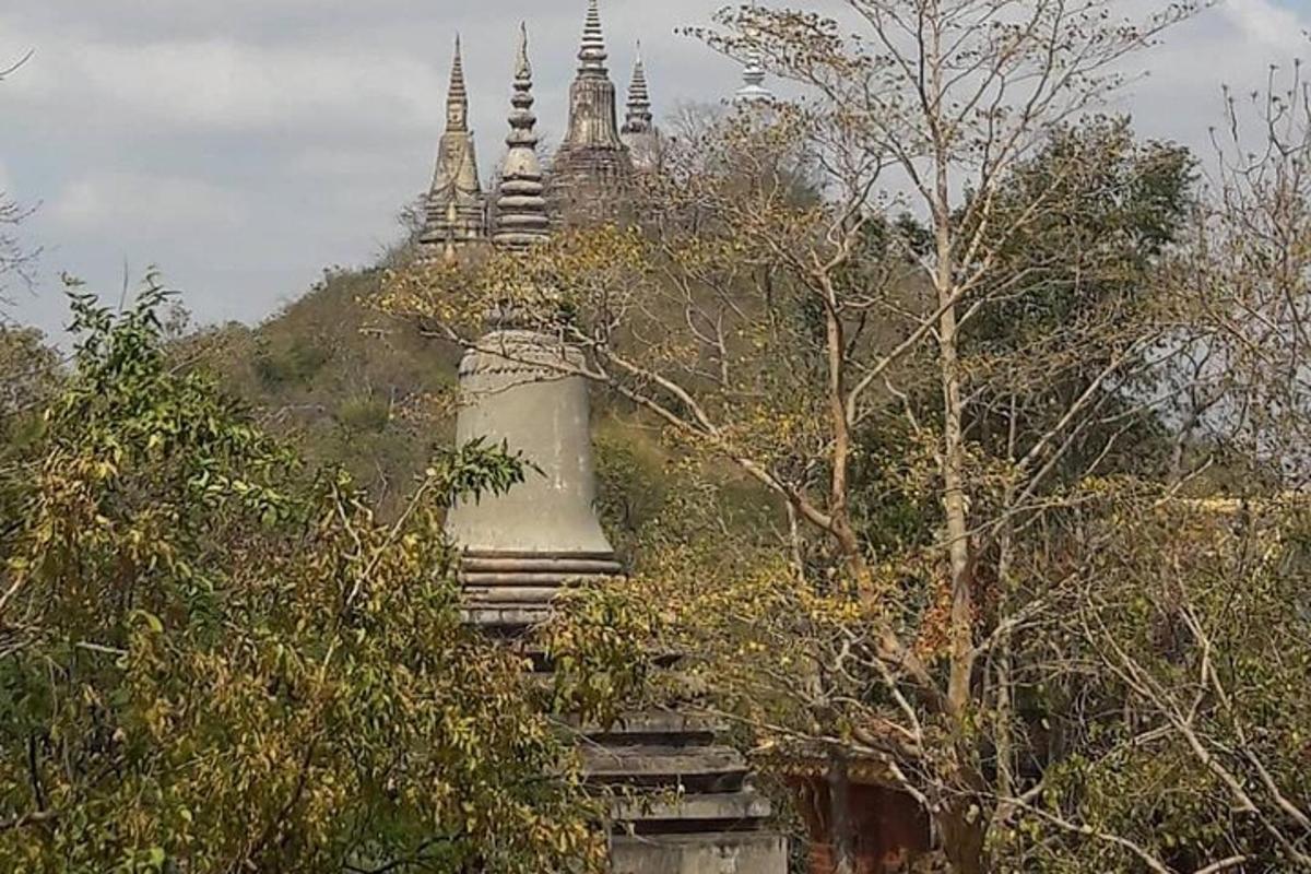 a group of pagodas on top of a hill with trees