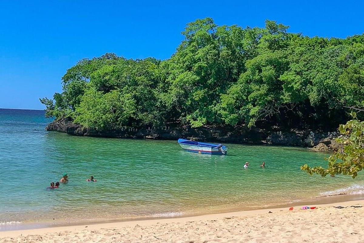 un grup de persones a l'aigua a la platja