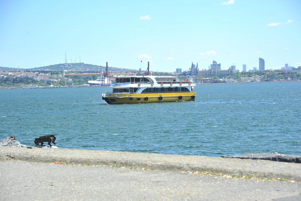 a dog walking on the beach with a boat in the water