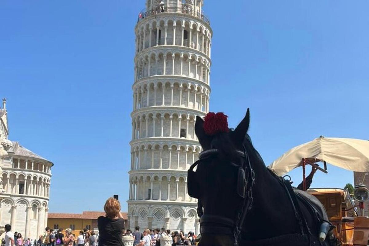 en hest foran det skæve tårn i Pisa