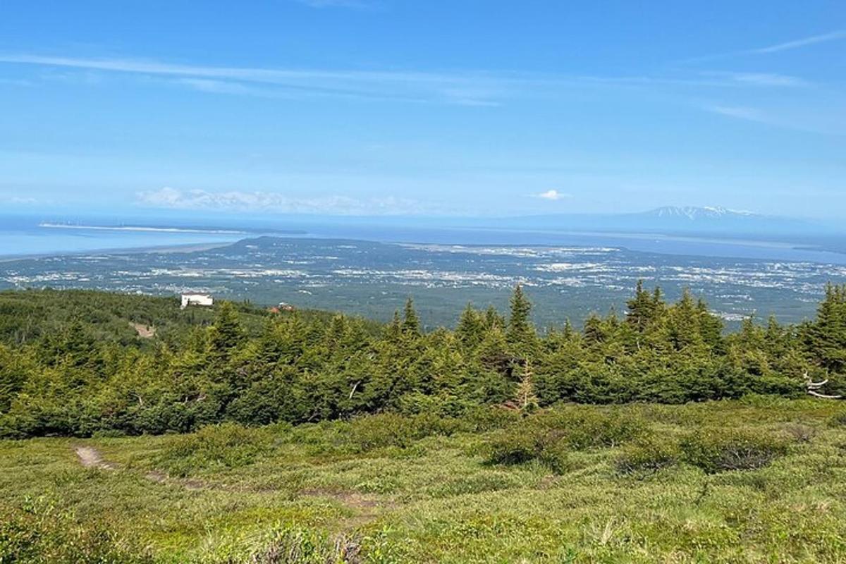 a view of the ocean from the top of a hill
