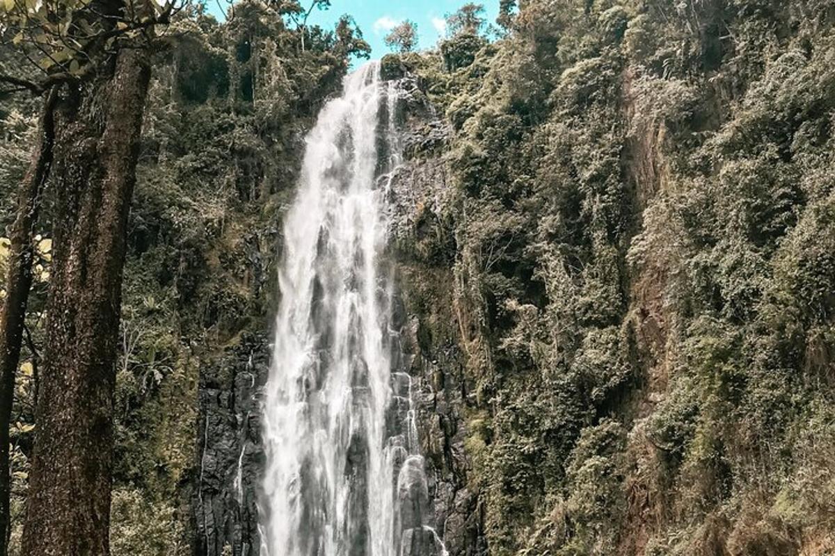 una cascata sul fianco di una montagna