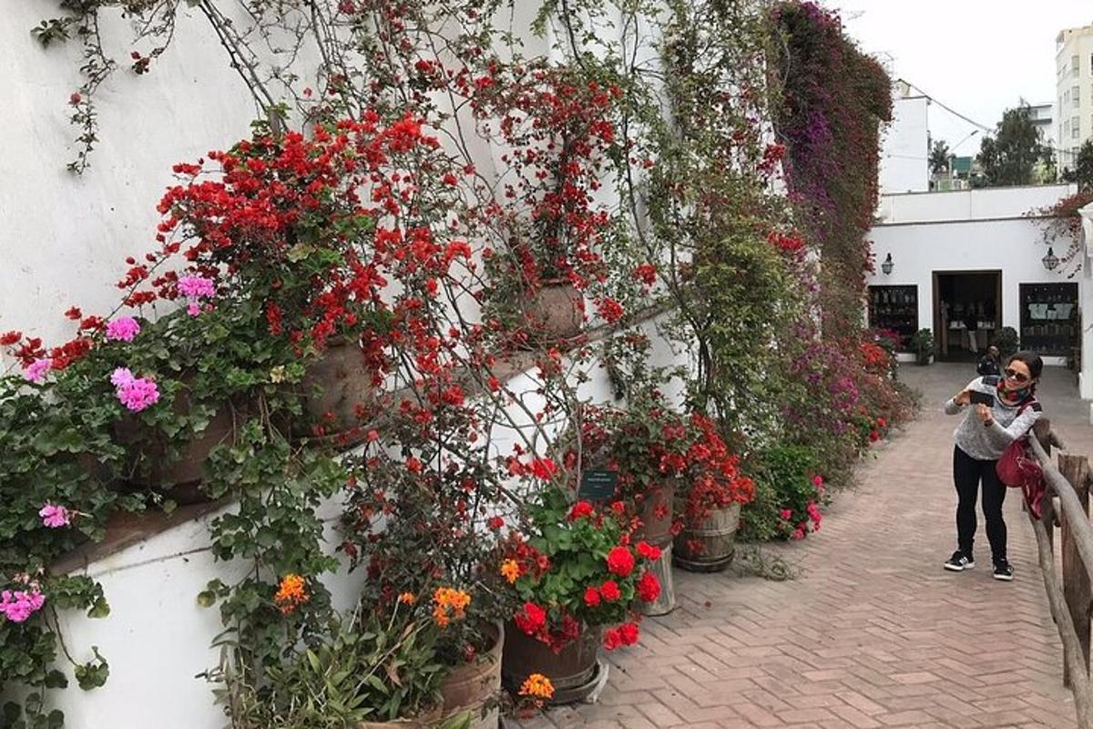 una donna che scatta una foto di fiori su un muro