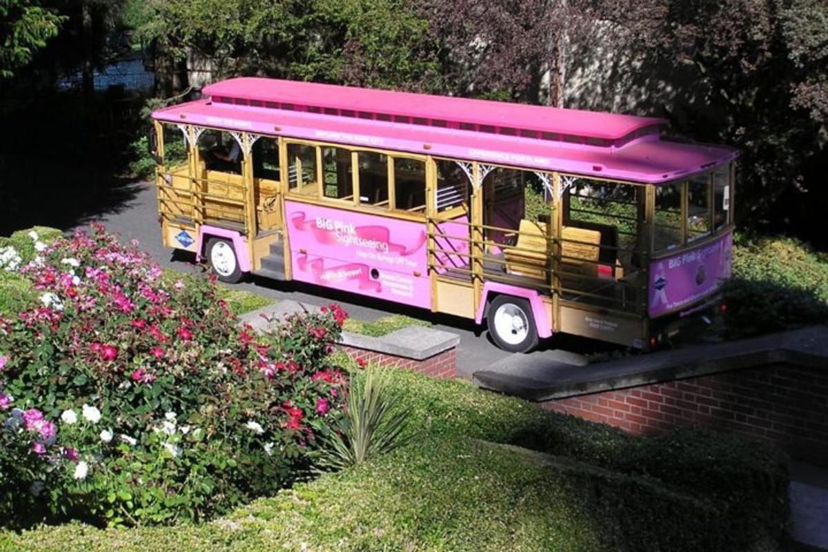 a pink and yellow bus parked in a garden