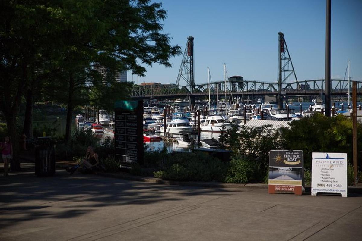 a marina with boats and a bridge in the background
