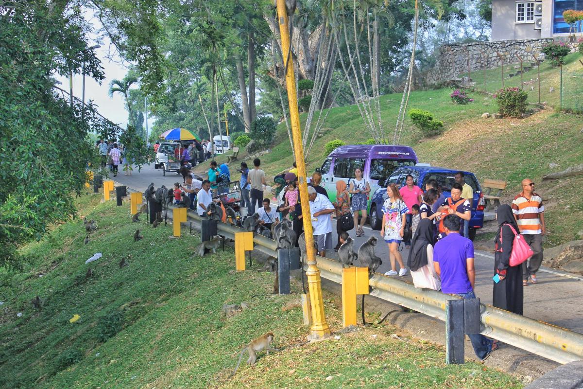 a group of people standing on the side of a road