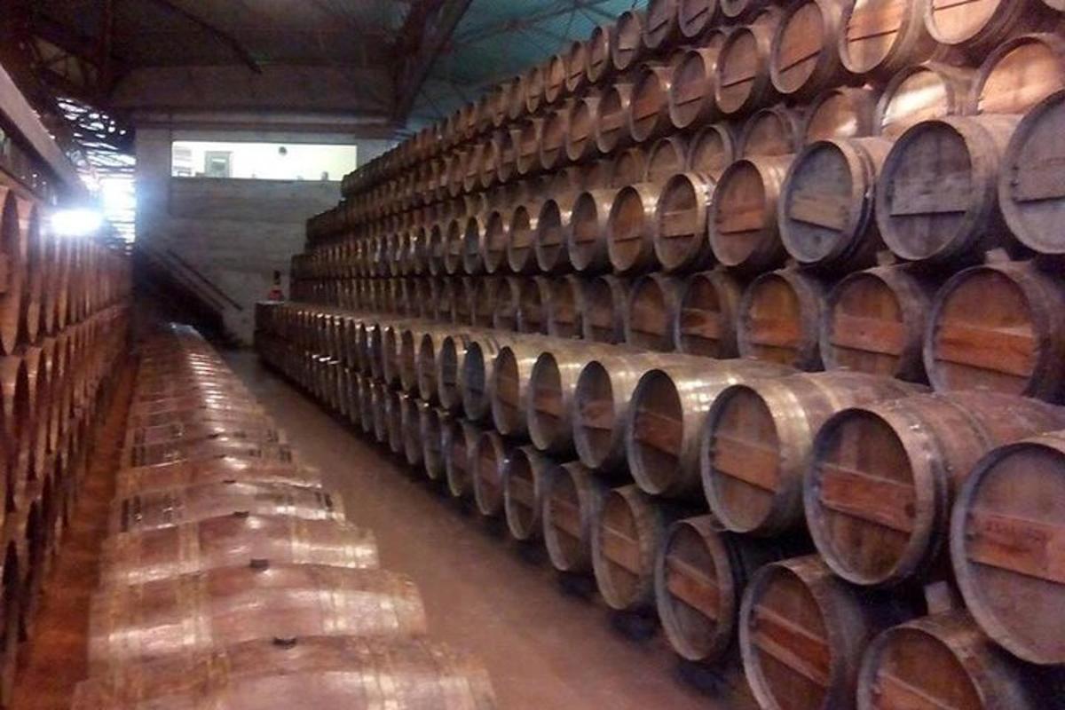 Velká hromada vinných sudů ve sklepě