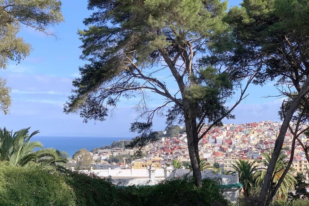 widok miasta zza drzew