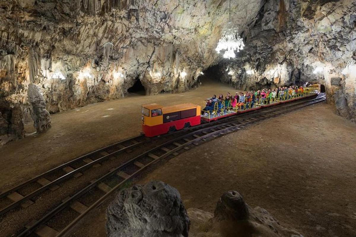 vlakec v jami z ljudmi na njem