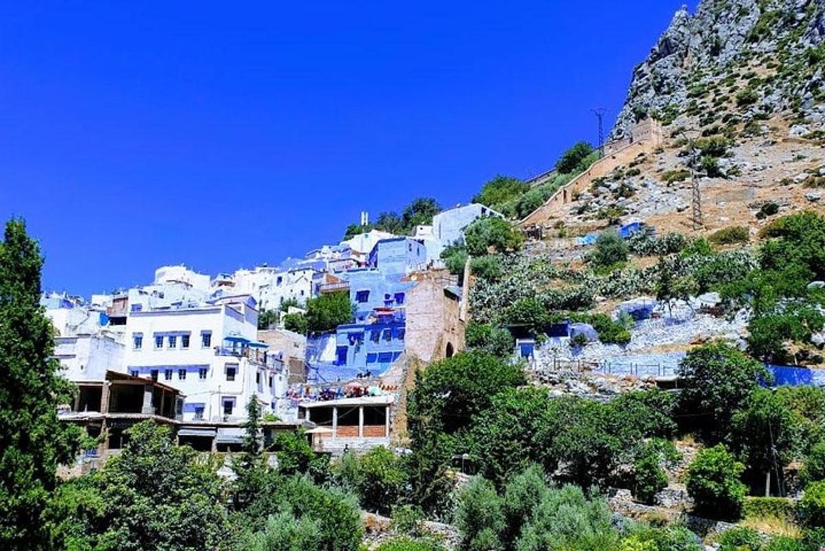 un gruppo di edifici blu e bianchi su una collina