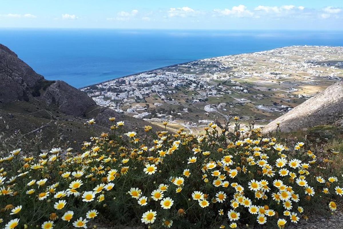 um buquê de flores amarelas na encosta de uma montanha