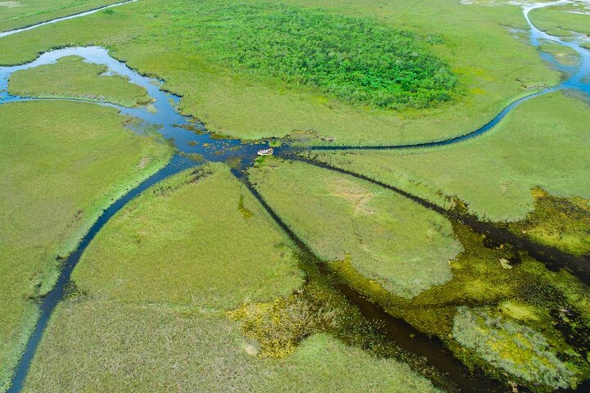 pemandangan udara sungai di ladang