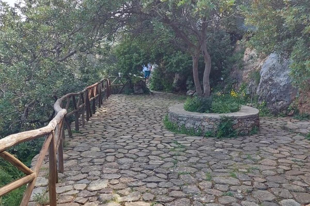 Un camino de piedra con una valla de madera y un árbol.