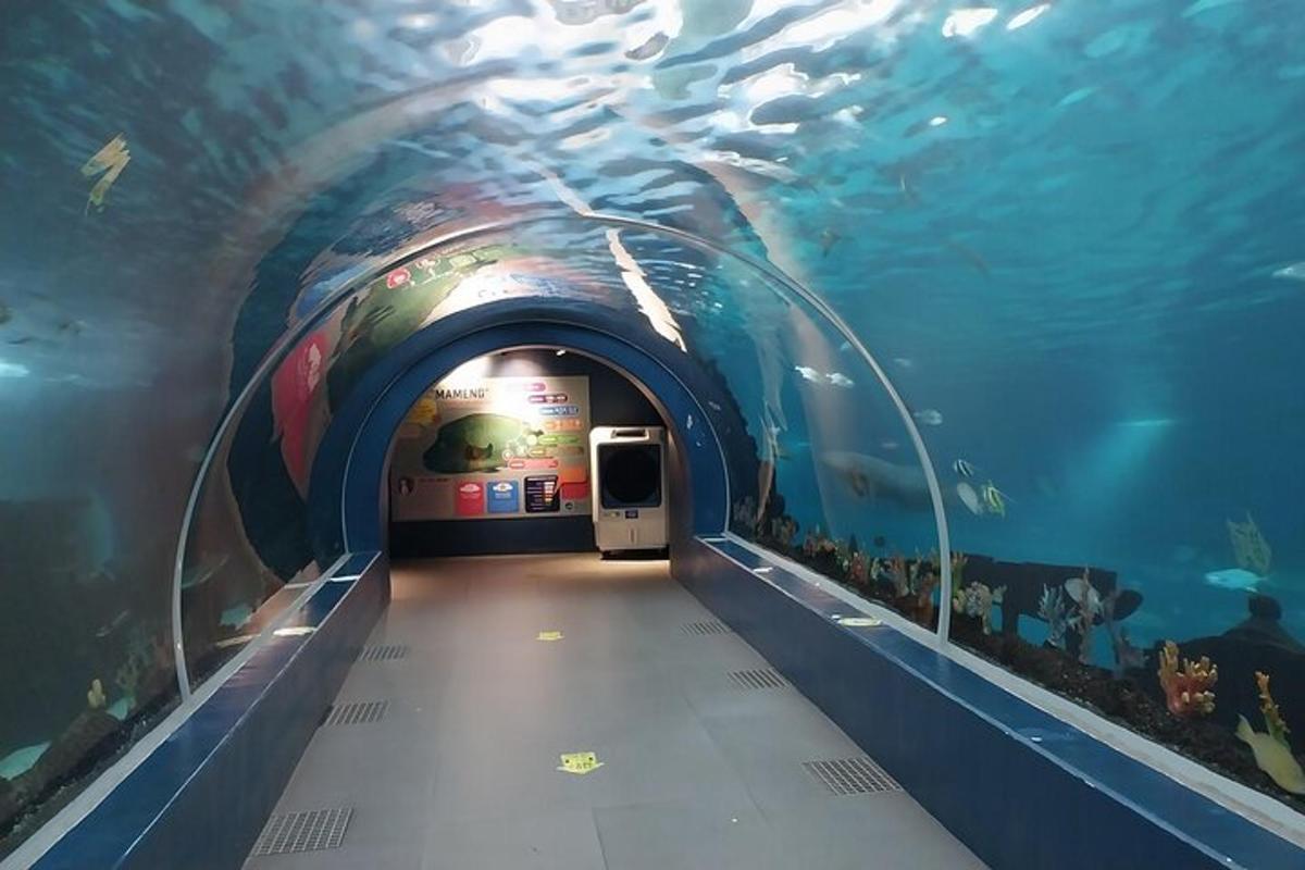 tunel v akváriu s rybkami uvnitř