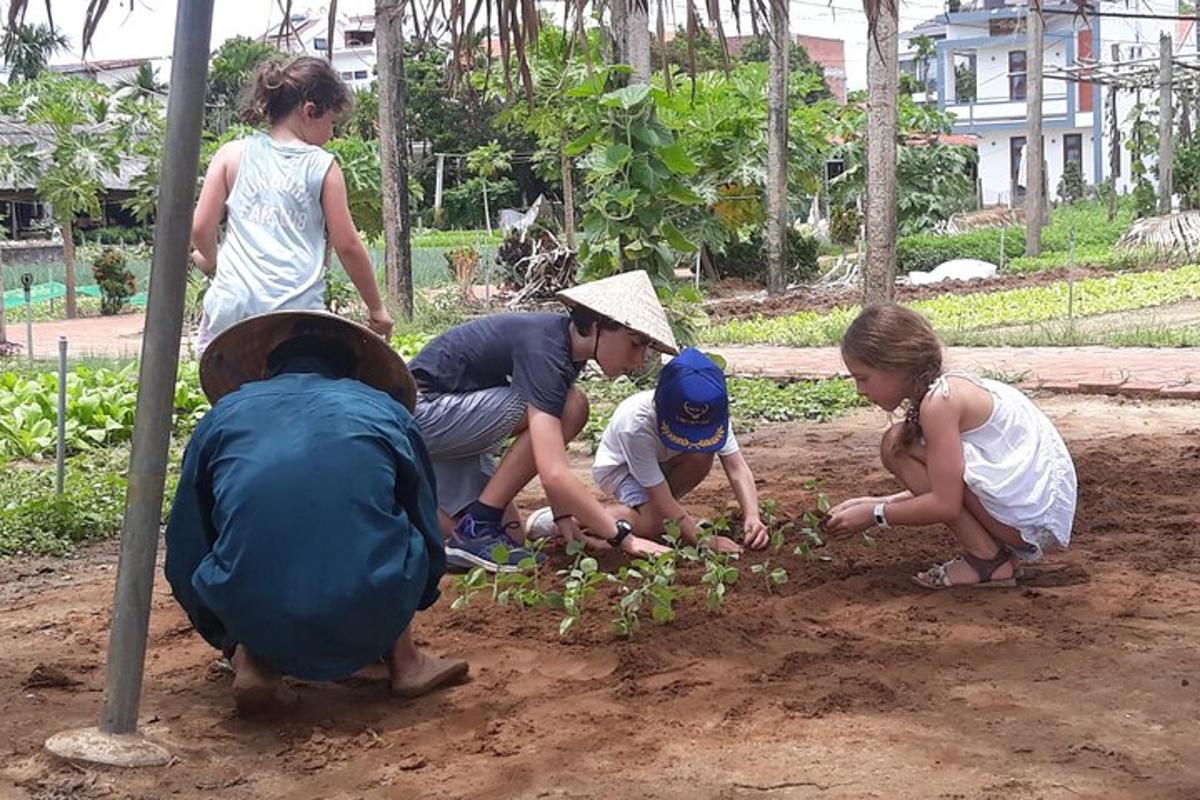 un grup de oameni care plantează plante în pământ