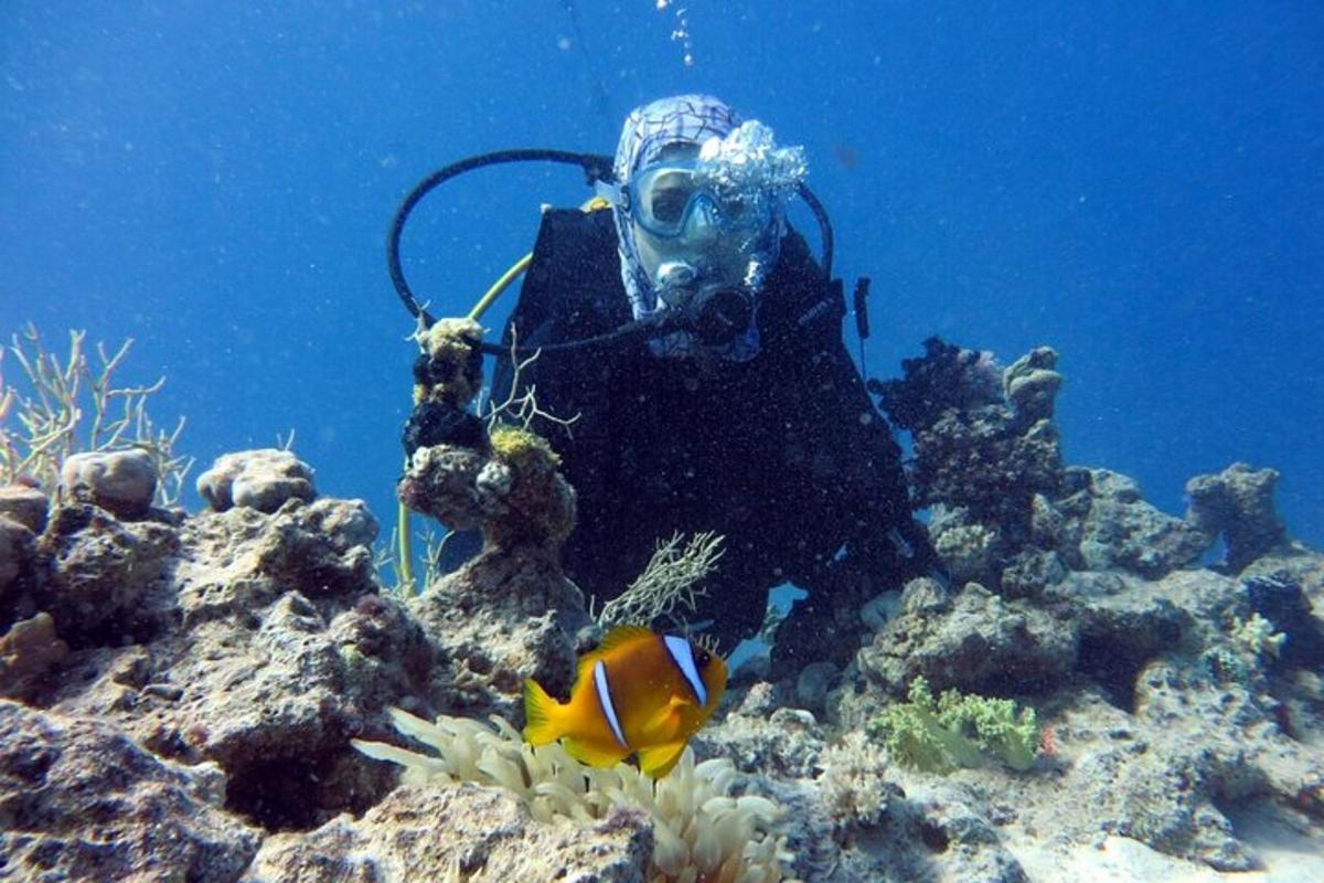 potápěč v oceánu na korálovém útesu