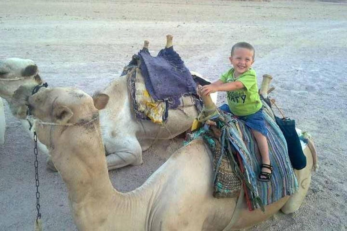 un noi jove va muntat en un camell