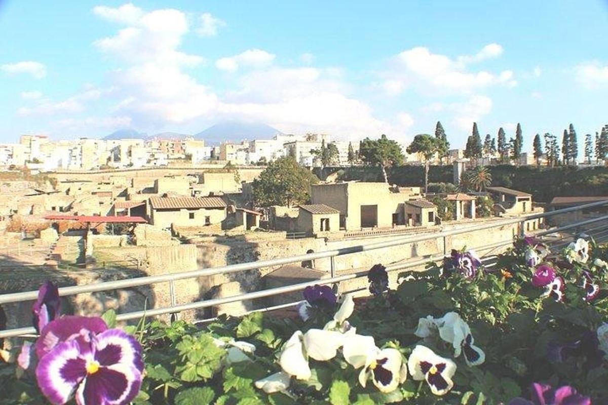 μια θέα μιας πόλης με λουλούδια στο προσκήνιο