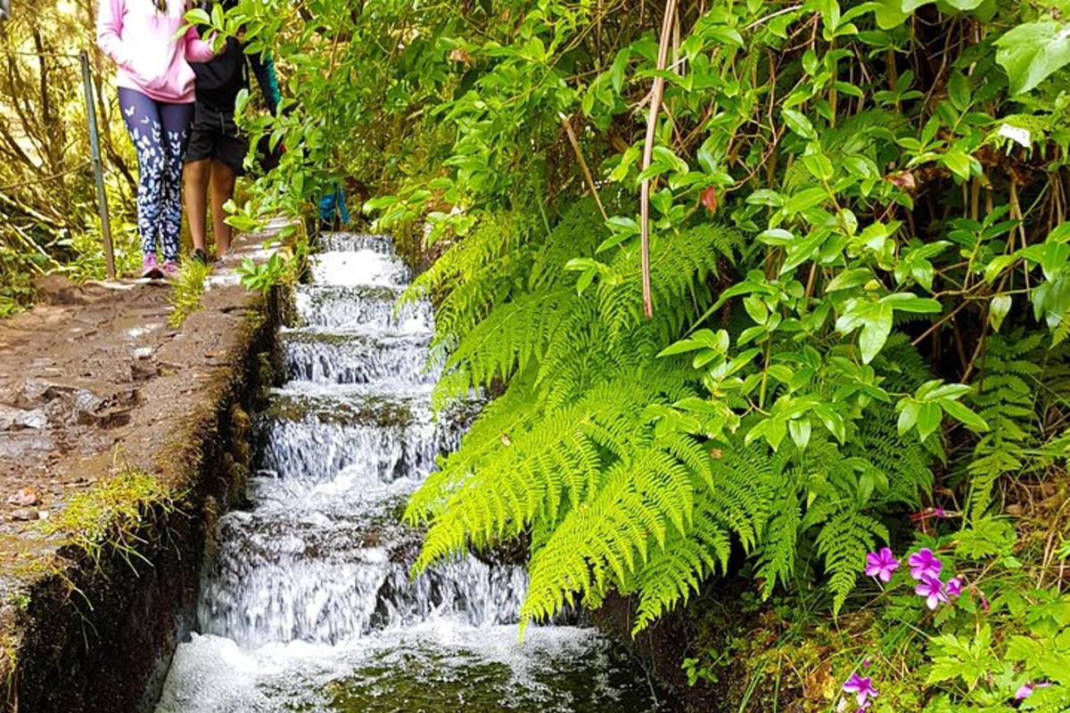 une femme debout à côté d'une cascade dans une forêt