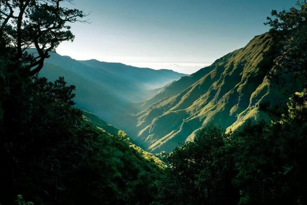 una vista di una valle tra le montagne
