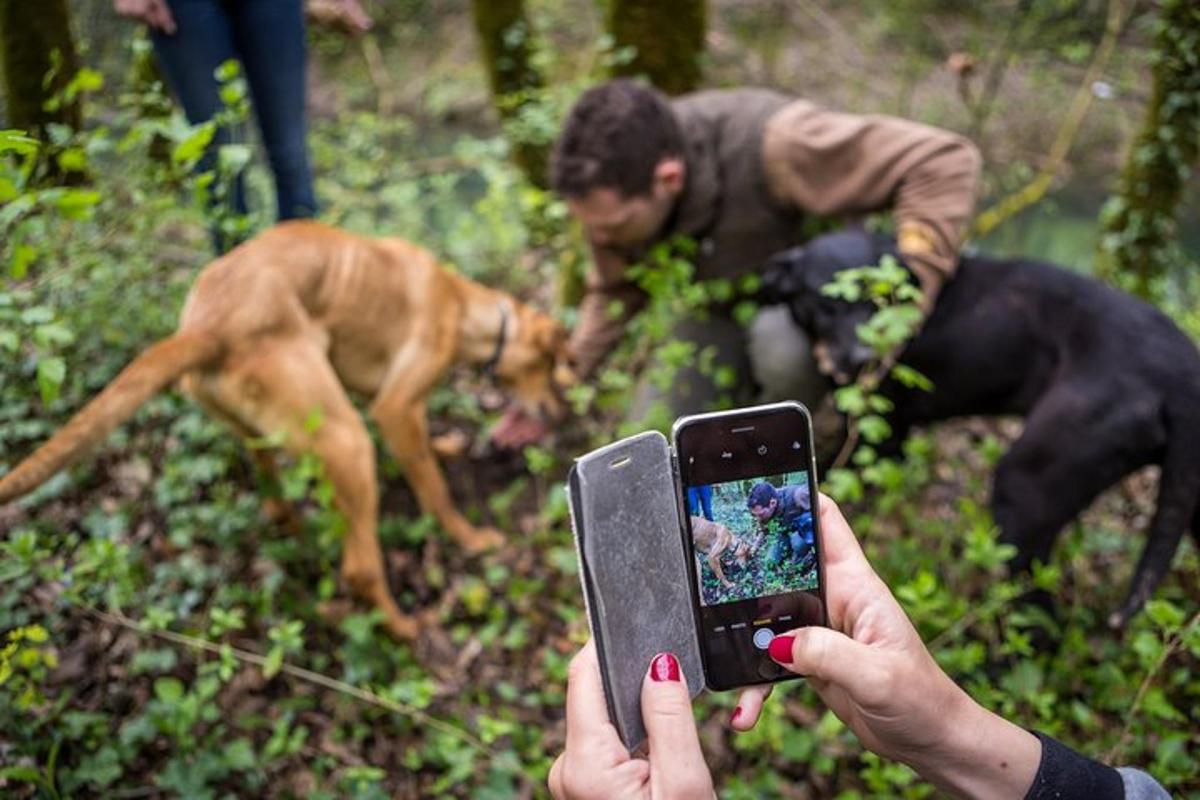 o persoană care fotografiază doi câini