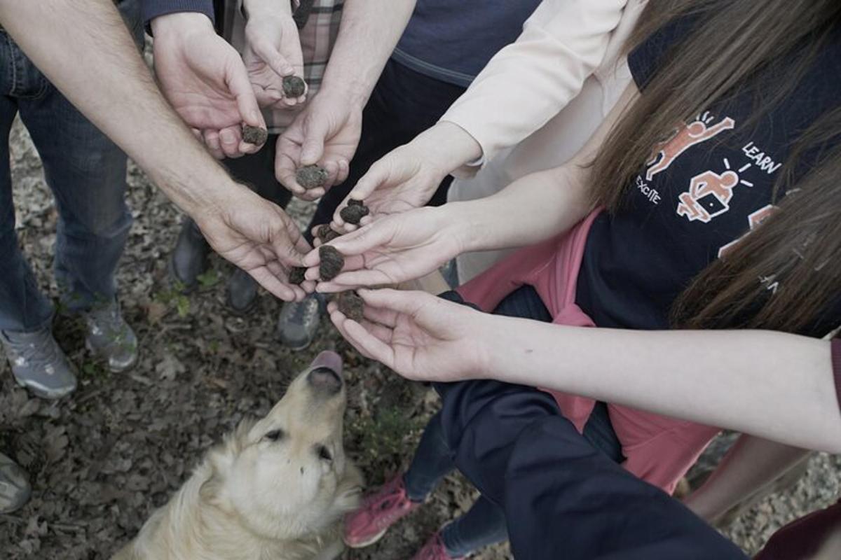 hópur fólks sem heldur höndum sínum yfir hund