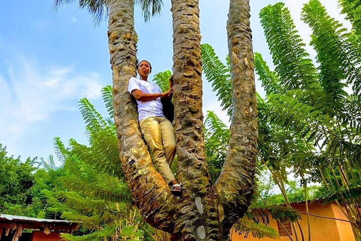 seorang lelaki sedang duduk di atas pokok kurma
