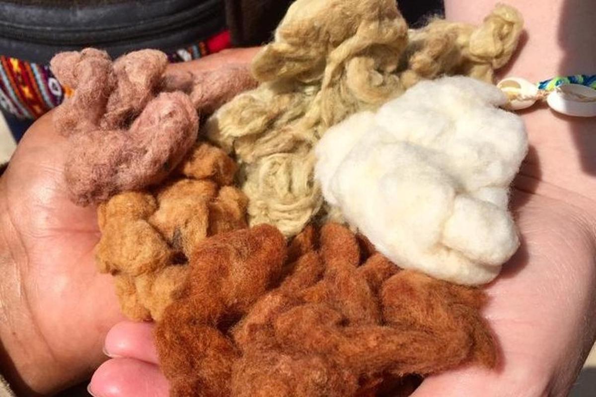 una persona que sostiene un montón de comida en su mano