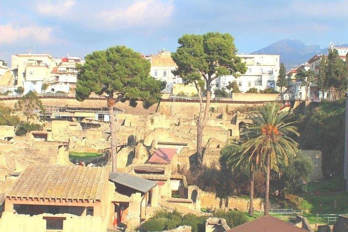 una vista d'una ciutat amb edificis i una palmera