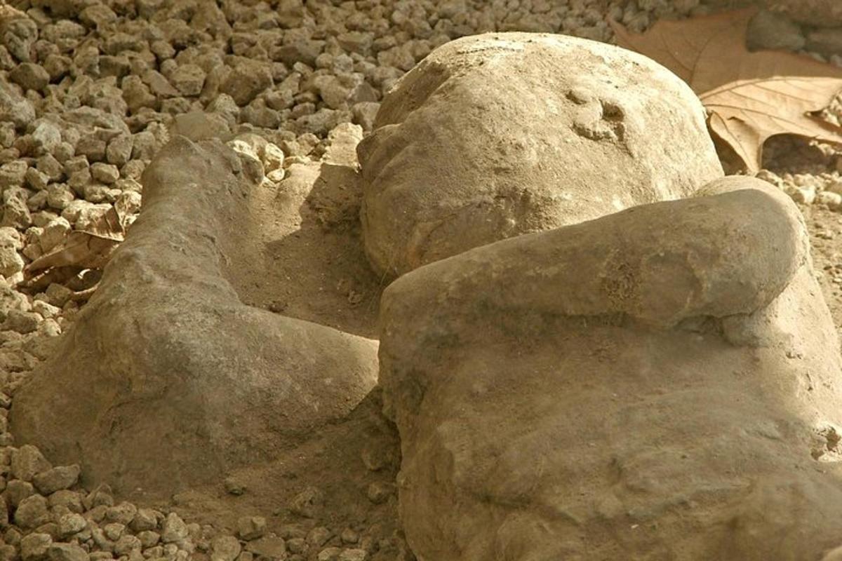 Un par de rocas grandes en un suelo rocoso