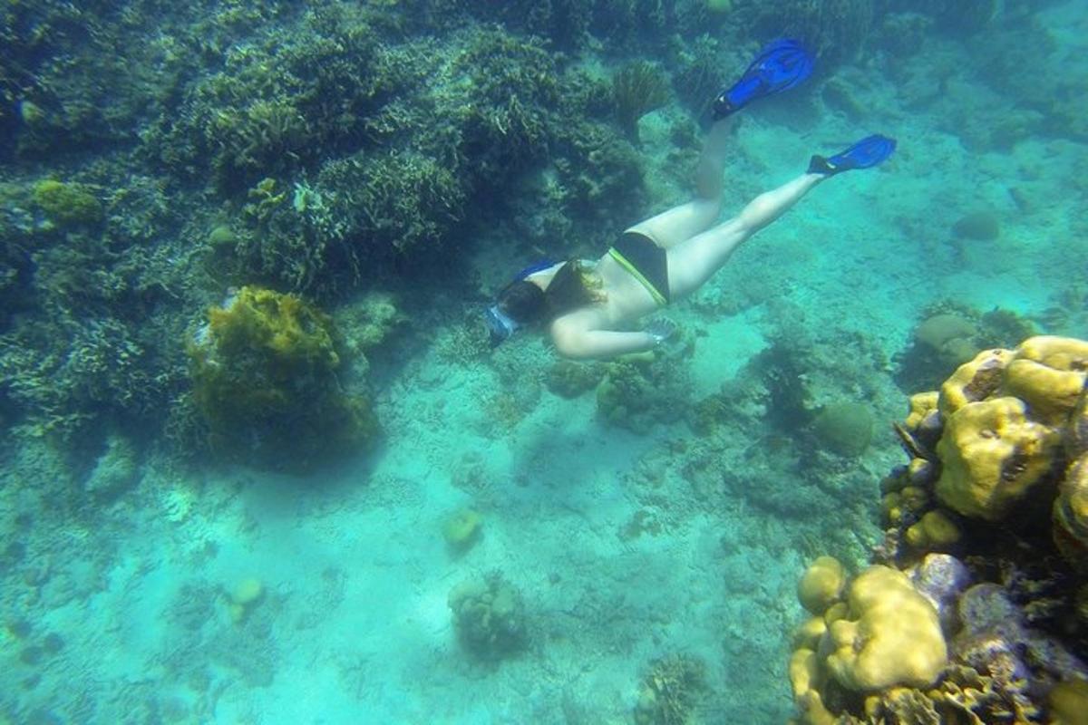 una persona sta nuotando nell'acqua dell'oceano