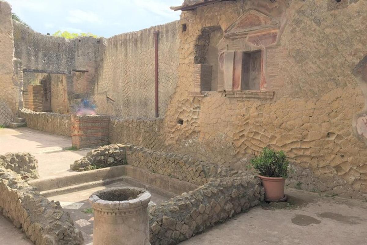 un edificio in pietra con una pianta in vaso di fronte