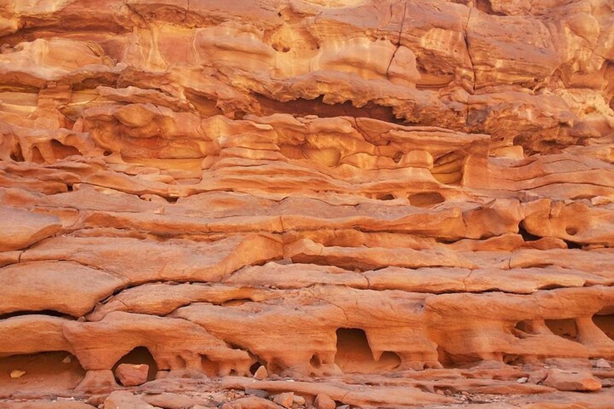 un primo piano di una parete rocciosa