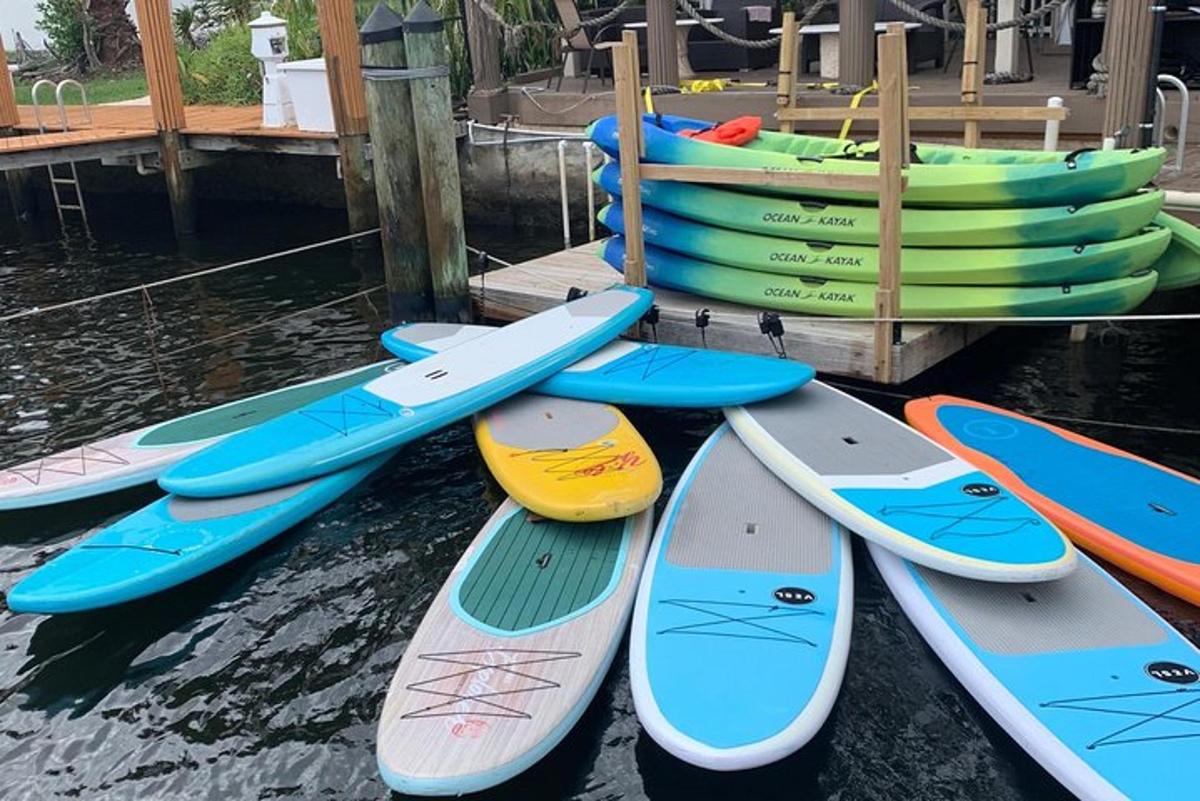 eine Gruppe von Surfbrettern, die neben einem Dock aufgereiht sind