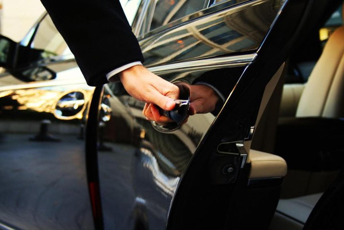 una persona sta aprendo la portiera di un'auto