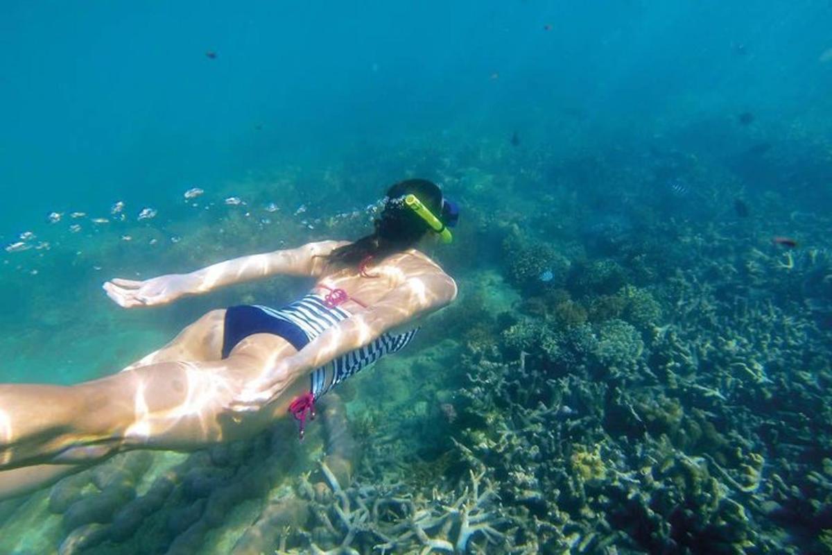 um homem nadando no oceano com uma garrafa na cabeça