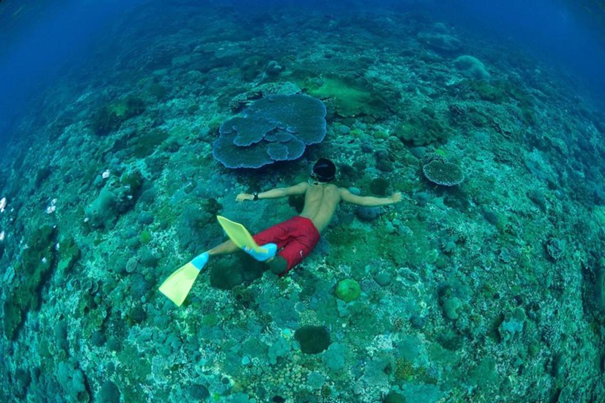 Muž plave v oceánu se surfovacím prknem