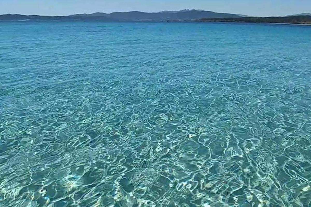 una grande distesa di acqua cristallina nell'oceano