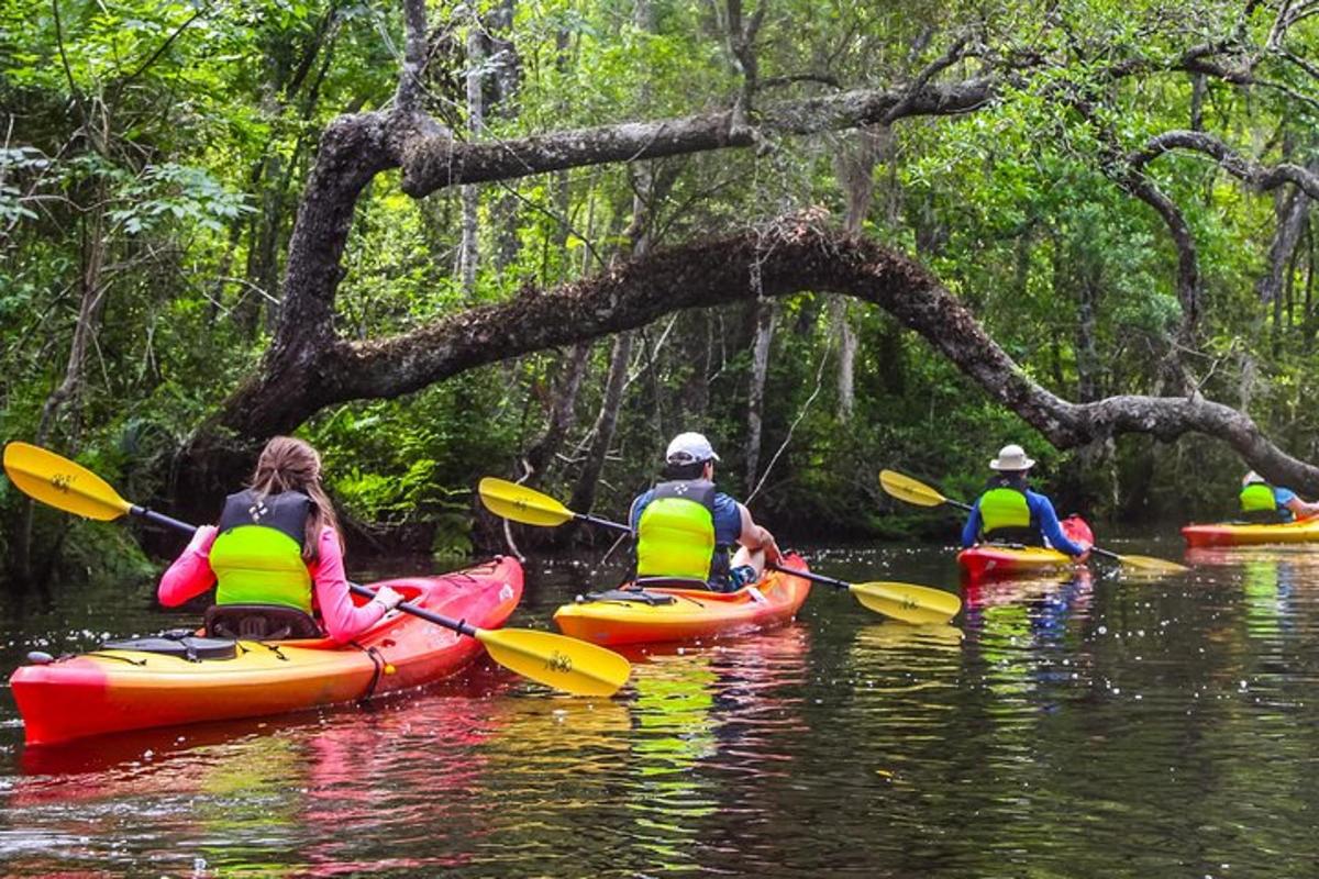 a group of people kayaking down a river