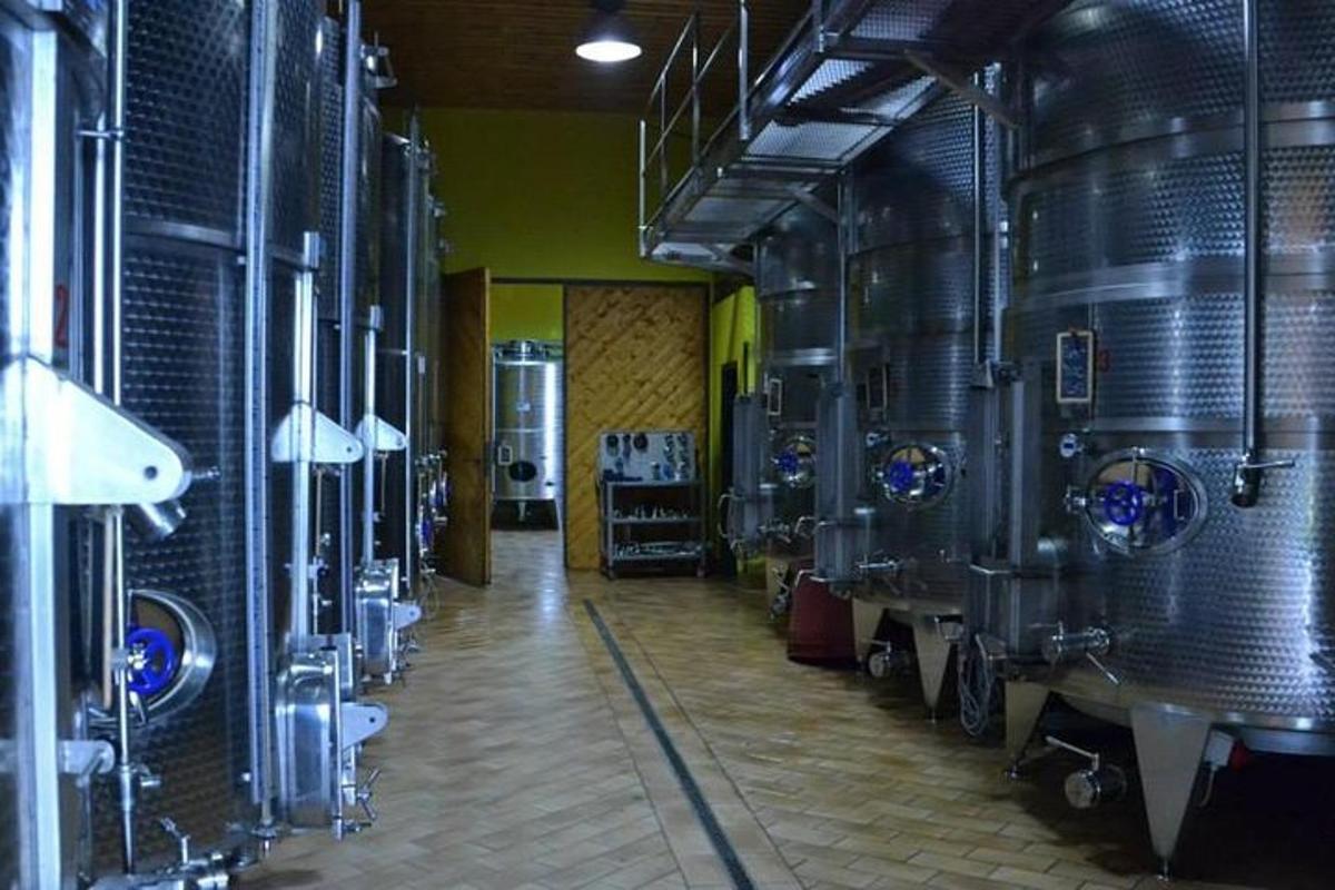 a room with a bunch of wine barrels