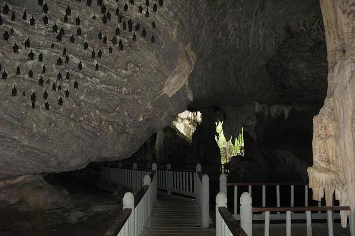 uma caverna com um grupo de pássaros na parede