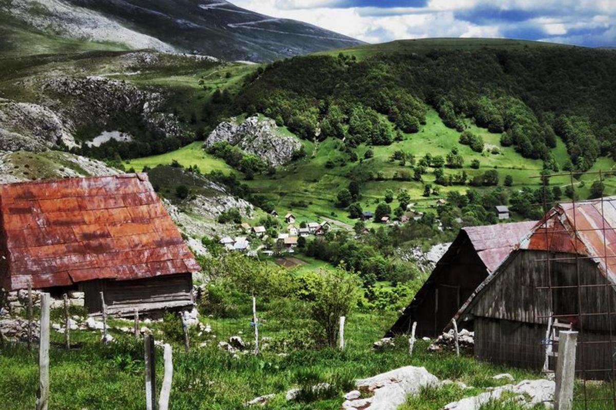 hópur af fjósum á grasi vaxinni hæð með kúm