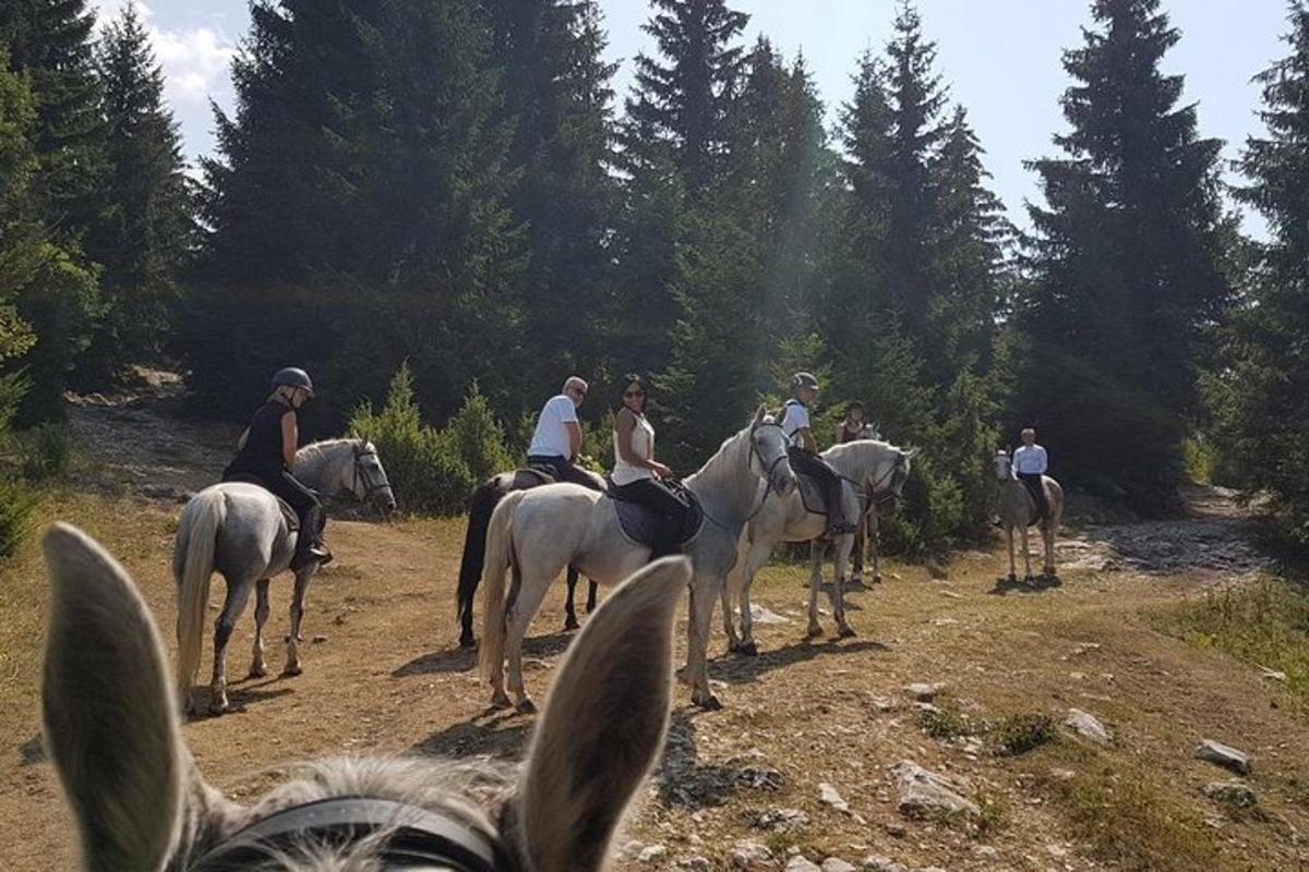 egy csoport ember lovagol egy ösvényen