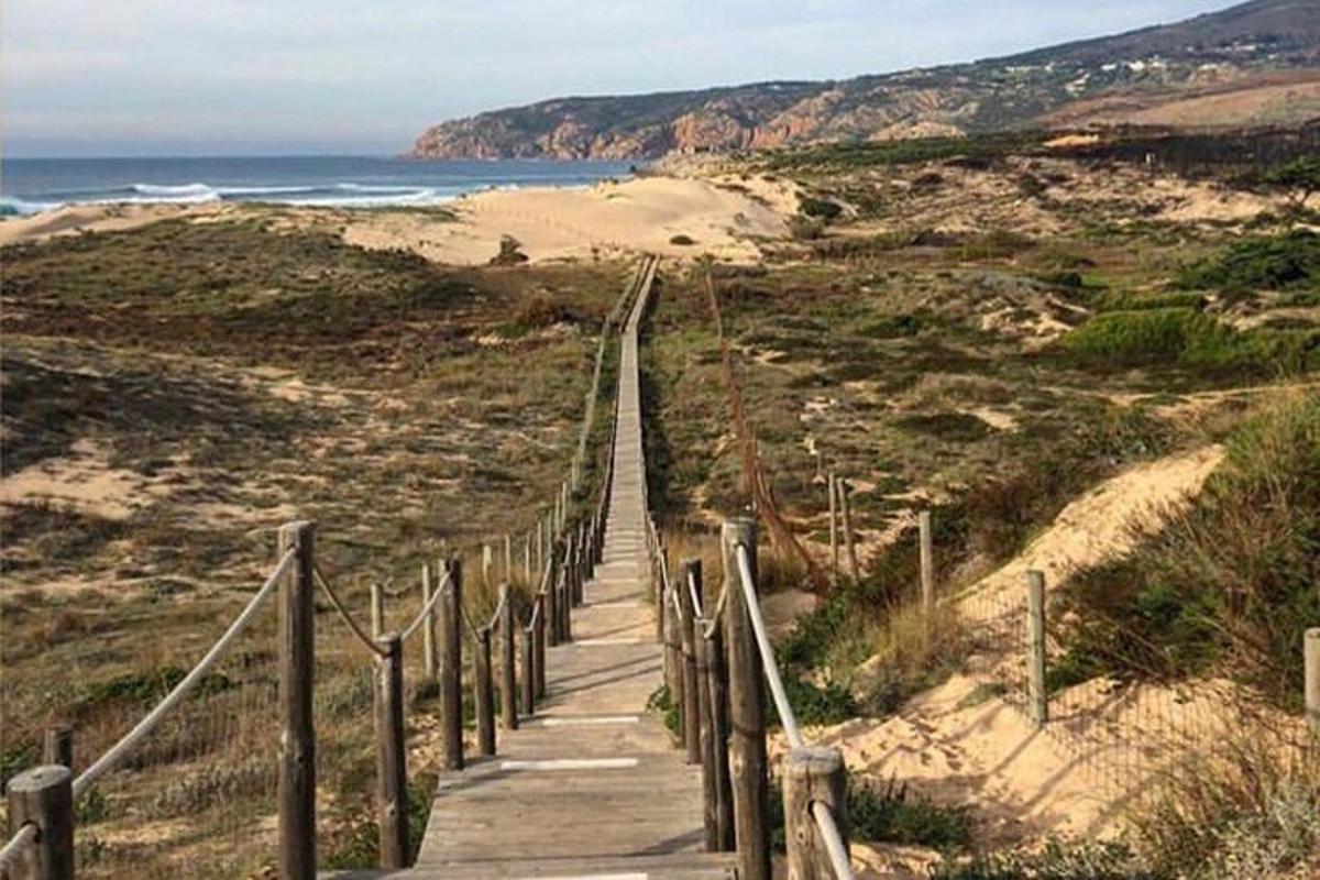 dřevěná cesta vedoucí k pláži s oceánem