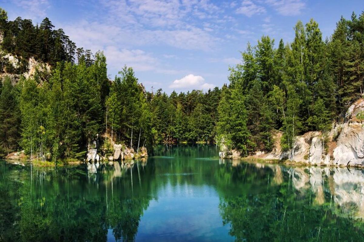 jezero uprostřed lesa