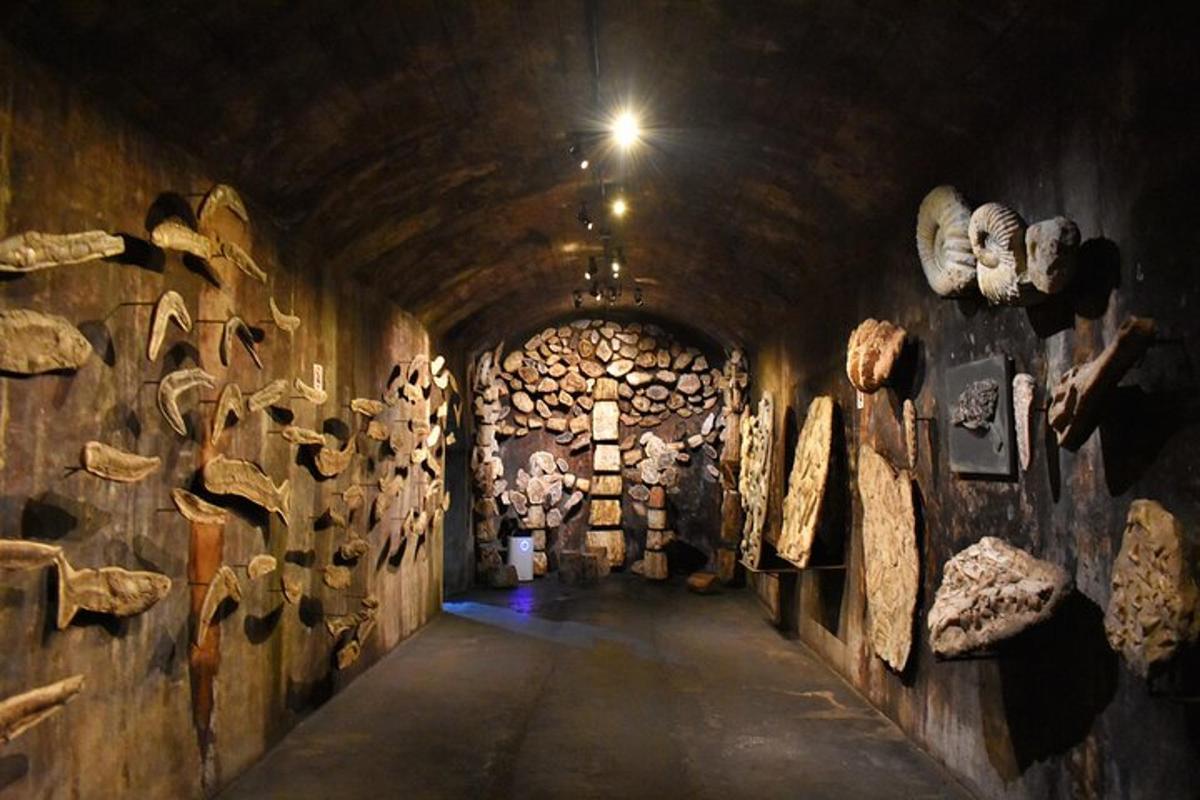 Photo de l’attraction numéro 5.